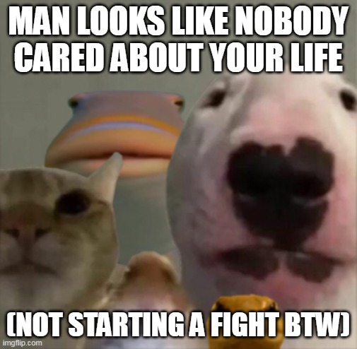 MAN LOOKS LIKE NOBODY CARED ABOUT YOUR LIFE (NOT STARTING A FIGHT BTW) | image tagged in the council | made w/ Imgflip meme maker