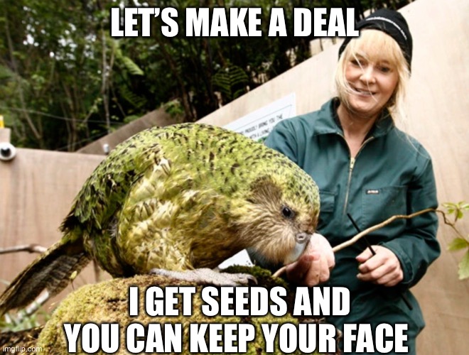 Ok… | LET’S MAKE A DEAL; I GET SEEDS AND YOU CAN KEEP YOUR FACE | image tagged in 9 pound parrot | made w/ Imgflip meme maker