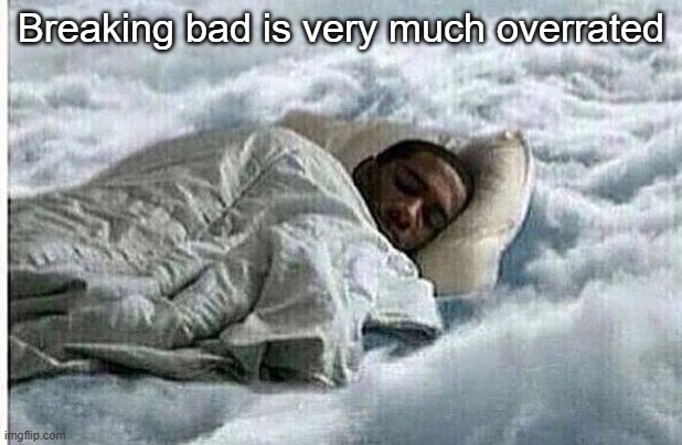 I sleep no real shit | Breaking bad is very much overrated | image tagged in i sleep | made w/ Imgflip meme maker