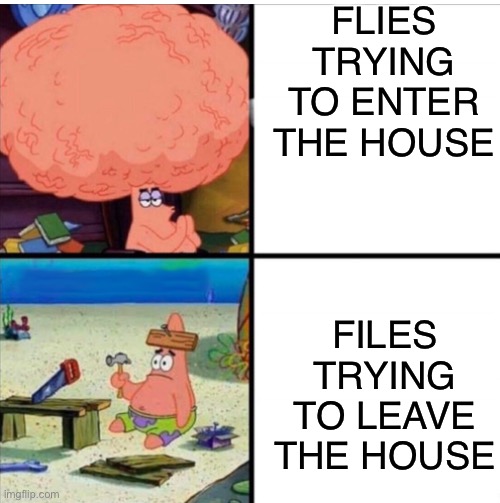title | FLIES TRYING TO ENTER THE HOUSE; FILES TRYING TO LEAVE THE HOUSE | image tagged in smart and dumb patrick,memes,funny,so true memes | made w/ Imgflip meme maker