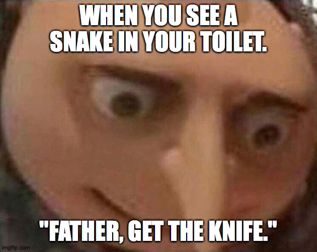 When there's a snake in your toilet. | WHEN YOU SEE A SNAKE IN YOUR TOILET. "FATHER, GET THE KNIFE." | image tagged in gru meme | made w/ Imgflip meme maker