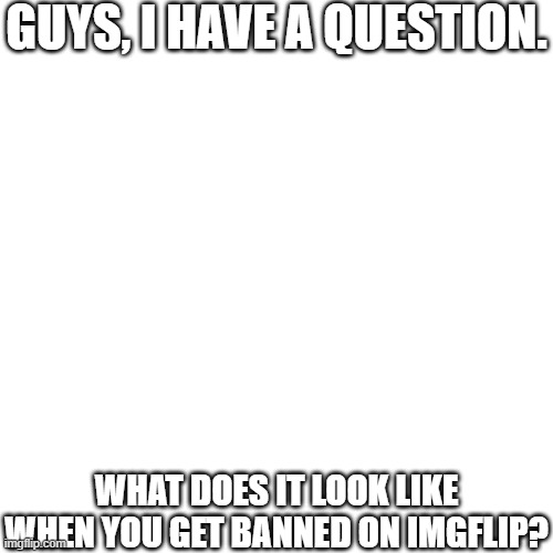 No reason to have to know, I just want to learn about the site more. | GUYS, I HAVE A QUESTION. WHAT DOES IT LOOK LIKE WHEN YOU GET BANNED ON IMGFLIP? | image tagged in questions about imgflip,imgflip,questions | made w/ Imgflip meme maker