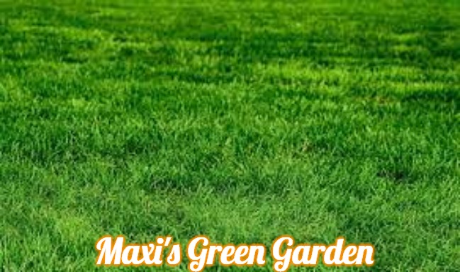 touching grass | Maxi's Green Garden | image tagged in touching grass,maxi's green garden,slavic,maxis green garden | made w/ Imgflip meme maker