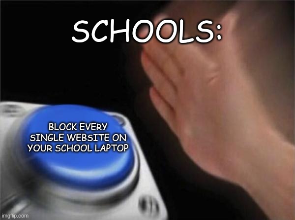 They block everything! | SCHOOLS:; BLOCK EVERY SINGLE WEBSITE ON YOUR SCHOOL LAPTOP | image tagged in memes,blank nut button | made w/ Imgflip meme maker