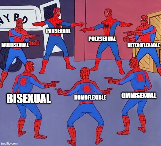 so similar, yet so different | POLYSEXUAL; PANSEXUAL; HETEROFLEXABLE; MULTISEXUAL; OMNISEXUAL; HOMOFLEXIBLE; BISEXUAL | image tagged in same spider man 7,lgbtq,multisexual,poly,pan,bi | made w/ Imgflip meme maker