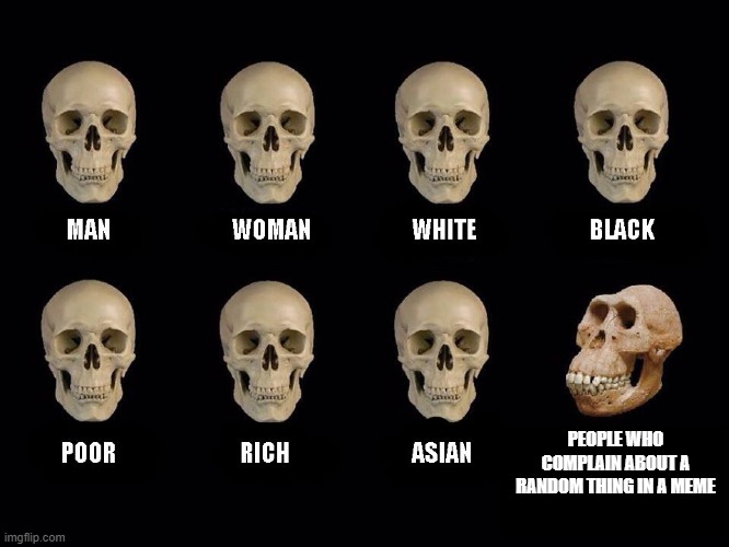 empty skulls of truth | PEOPLE WHO COMPLAIN ABOUT A RANDOM THING IN A MEME | image tagged in empty skulls of truth | made w/ Imgflip meme maker