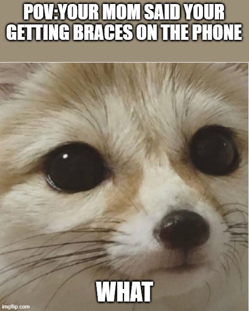 what | POV:YOUR MOM SAID YOUR GETTING BRACES ON THE PHONE; WHAT | image tagged in what | made w/ Imgflip meme maker