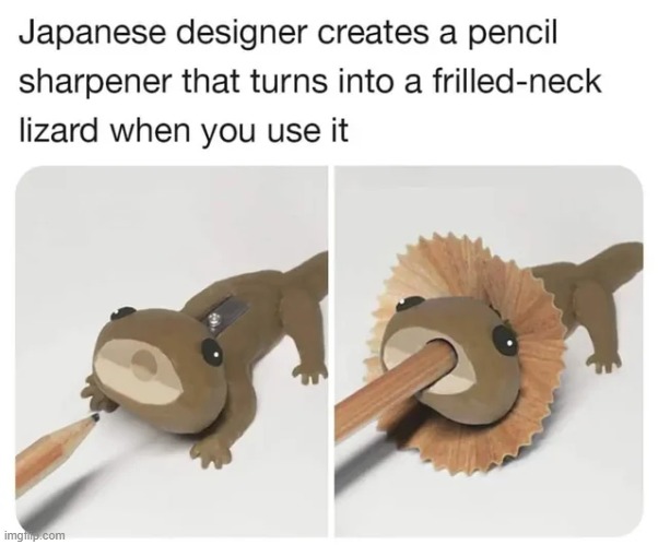 Now I want one | image tagged in memes,funny,wholesome | made w/ Imgflip meme maker