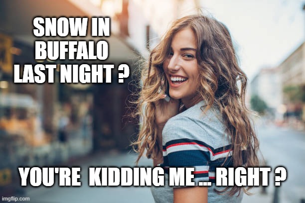 snow in buffalo | SNOW IN
BUFFALO
LAST NIGHT ? YOU'RE  KIDDING ME ... RIGHT ? | image tagged in spring | made w/ Imgflip meme maker