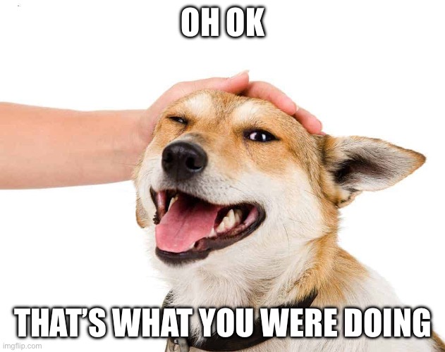 Petting a Dog | OH OK THAT’S WHAT YOU WERE DOING | image tagged in petting a dog | made w/ Imgflip meme maker