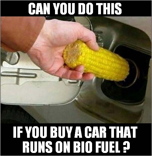 I'm No Expert On Eco Cars | CAN YOU DO THIS; IF YOU BUY A CAR THAT 
RUNS ON BIO FUEL ? | image tagged in eco cars,bio fuel,front page | made w/ Imgflip meme maker