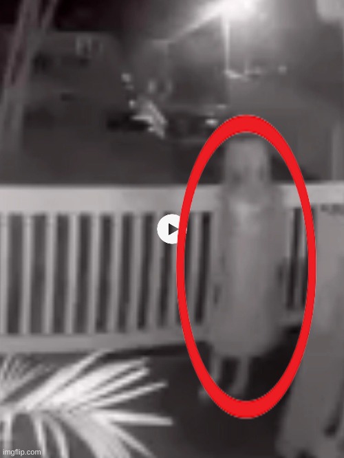 WTAF SHOWED UP AT MY HOUSE LAST NIGHT | made w/ Imgflip meme maker