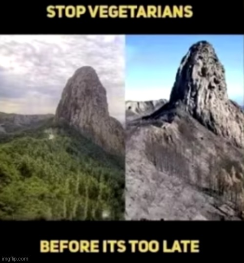 STOP THEMMMM | image tagged in stop,vegetarians,before,its,too,late | made w/ Imgflip meme maker