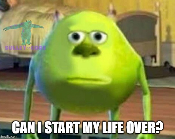 Monsters Inc | CAN I START MY LIFE OVER? | image tagged in monsters inc | made w/ Imgflip meme maker