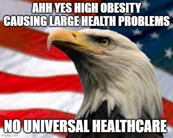 Murica Patriotic Eagle | AHH YES HIGH OBESITY CAUSING LARGE HEALTH PROBLEMS; NO UNIVERSAL HEALTHCARE | image tagged in murica patriotic eagle,geography | made w/ Imgflip meme maker