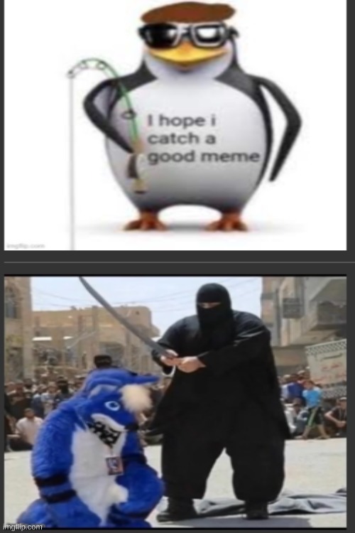 Thank you for catching it, user | made w/ Imgflip meme maker
