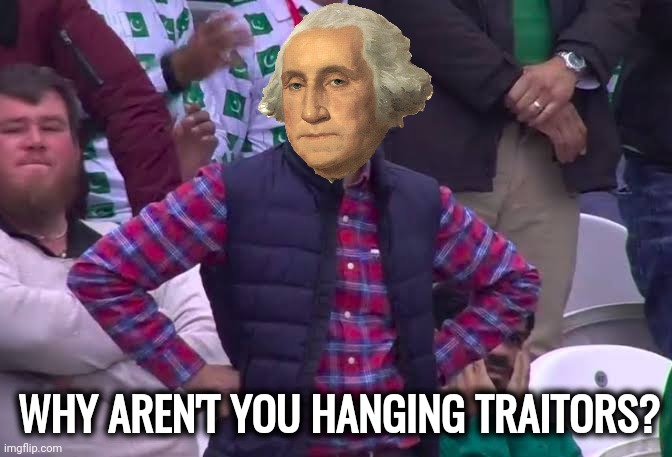 We need a George Washington right about now. | WHY AREN'T YOU HANGING TRAITORS? | image tagged in disappointed man | made w/ Imgflip meme maker