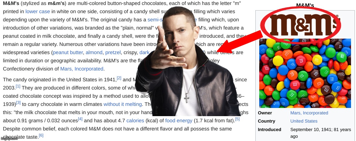 and yet m&ms don't come in wrappers... | image tagged in name soundalike,eminem | made w/ Imgflip meme maker