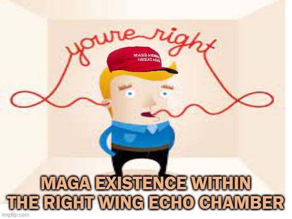 MAGA EXISTENCE WITHIN THE RIGHT WING ECHO CHAMBER | made w/ Imgflip meme maker