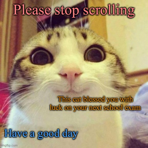 Have a good day | Please stop scrolling; This cat blessed you with luck on your next school exam; Have a good day | image tagged in memes,smiling cat | made w/ Imgflip meme maker