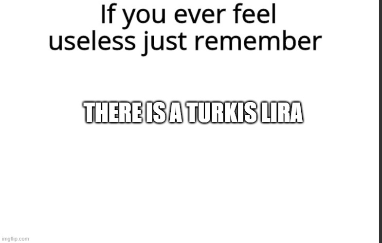 If you ever feel useless remember this | THERE IS A TURKIS LIRA | image tagged in if you ever feel useless remember this,inflation | made w/ Imgflip meme maker