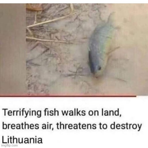 Lithuanian people can't even catch a break for 5 minutes dawg ☠️ | made w/ Imgflip meme maker