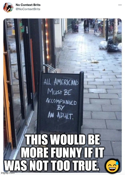 All Americans must be accompanied by an adult | THIS WOULD BE MORE FUNNY IF IT WAS NOT TOO TRUE.  😅 | image tagged in all americans must be accompanied by an adult,sign,nocontextbrits | made w/ Imgflip meme maker