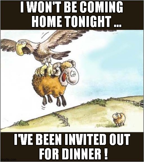 Having An Old Friend For Dinner ? | I WON'T BE COMING
    HOME TONIGHT ... I'VE BEEN INVITED OUT
 FOR DINNER ! | image tagged in eagles,sheep,dinner | made w/ Imgflip meme maker