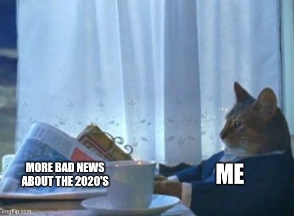 The 2020's are a burning pile of garbage | ME; MORE BAD NEWS ABOUT THE 2020'S | image tagged in memes,i should buy a boat cat | made w/ Imgflip meme maker
