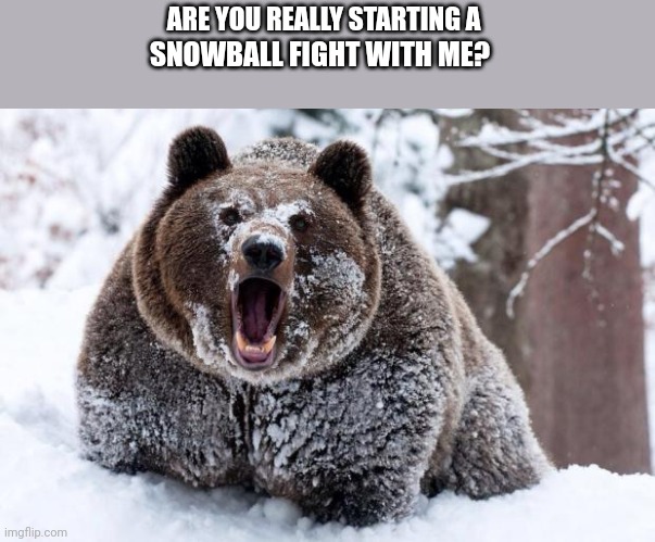 Cocaine bear | ARE YOU REALLY STARTING A; SNOWBALL FIGHT WITH ME? | image tagged in cocaine bear | made w/ Imgflip meme maker