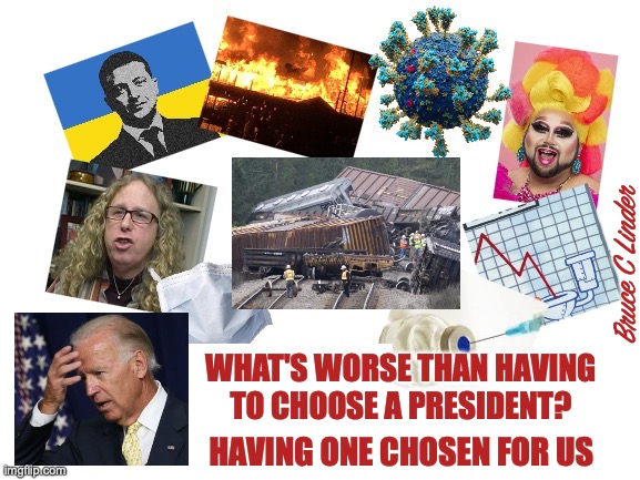 Is Voting Important? | Bruce C Linder; WHAT'S WORSE THAN HAVING
TO CHOOSE A PRESIDENT? HAVING ONE CHOSEN FOR US | image tagged in biden,covid,train wreck,economic collapse,vaccine,war | made w/ Imgflip meme maker