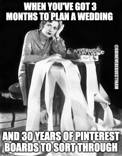 Wedding planning in the age of pinterest | WHEN YOU'VE GOT 3 MONTHS TO PLAN A WEDDING; @GUINEVEREGUESTFARM; AND 30 YEARS OF PINTEREST BOARDS TO SORT THROUGH | image tagged in stressed woman with long list | made w/ Imgflip meme maker