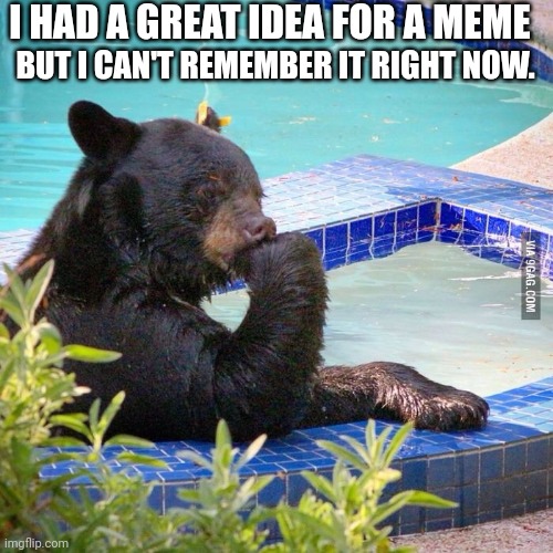 Ponder bear | I HAD A GREAT IDEA FOR A MEME; BUT I CAN'T REMEMBER IT RIGHT NOW. | image tagged in ponder bear | made w/ Imgflip meme maker