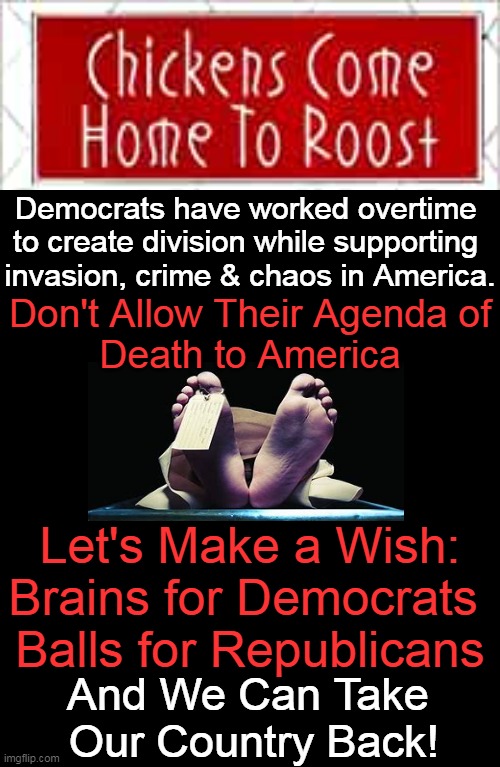 Love America, Don't Destroy Her | Democrats have worked overtime 
to create division while supporting 
invasion, crime & chaos in America. Don't Allow Their Agenda of
Death to America; Let's Make a Wish:
Brains for Democrats 
Balls for Republicans; And We Can Take 
Our Country Back! | image tagged in politics,democrats,division,invasion,chaos,republicans | made w/ Imgflip meme maker