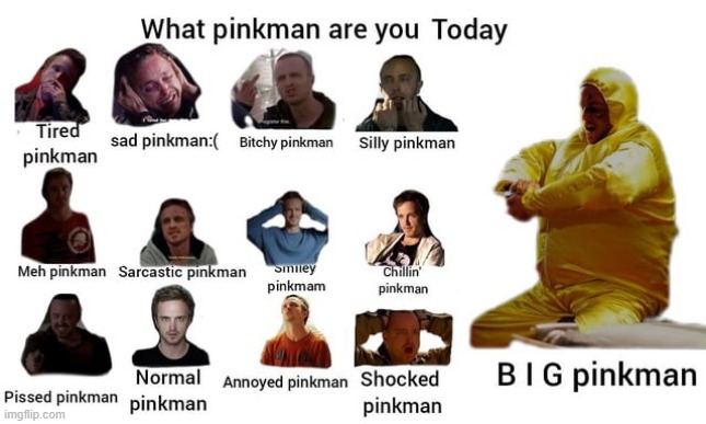 which pinkman are you? | made w/ Imgflip meme maker