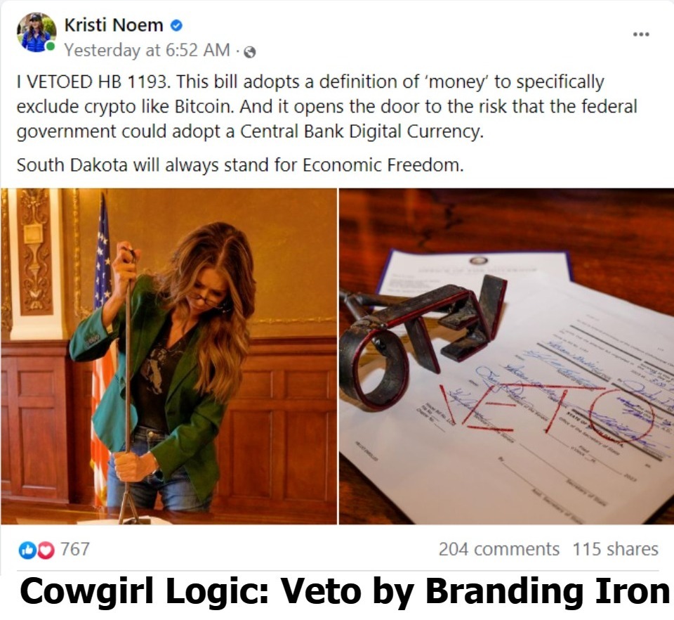 That's MY Governor. You GO, girl! | image tagged in south dakota,governor kristi noem,cowgirl logic,cowgirl,branding iron,country state of mind | made w/ Imgflip meme maker