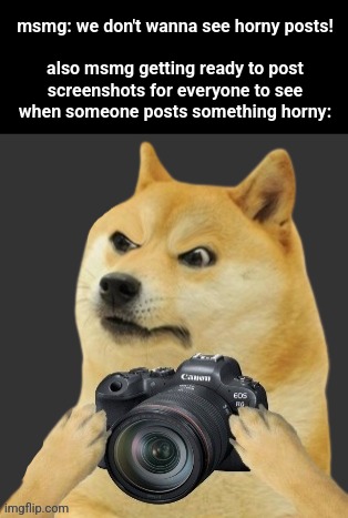 help, better call saul theme is stuck in my head and It wont stop | msmg: we don't wanna see horny posts!
 
also msmg getting ready to post screenshots for everyone to see when someone posts something horny: | image tagged in doge camera | made w/ Imgflip meme maker