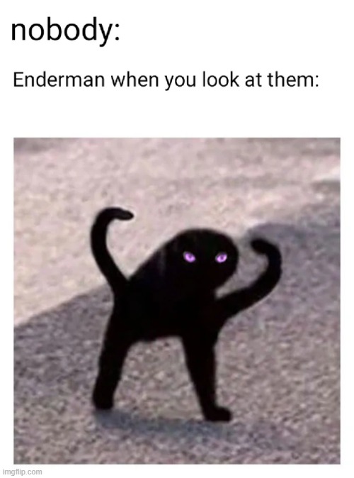 Angry enderman noises | image tagged in minecraft,memes,funny | made w/ Imgflip meme maker