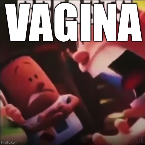 Captain Underpants screaming "BREASTS" | VAGINA | image tagged in captain underpants screaming breasts | made w/ Imgflip meme maker