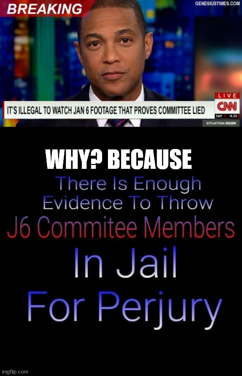 Pelosi Jan 6 committee lied... | WHY? BECAUSE | image tagged in democrats,rino,liars | made w/ Imgflip meme maker