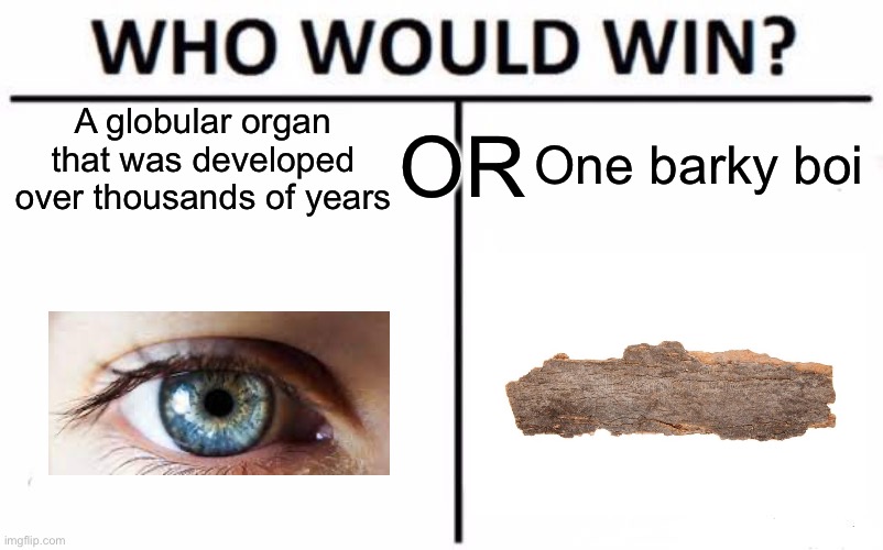 I think this happened to all of us before, right? | A globular organ that was developed over thousands of years; One barky boi; OR | image tagged in memes,who would win,relatable,funny,childhood | made w/ Imgflip meme maker