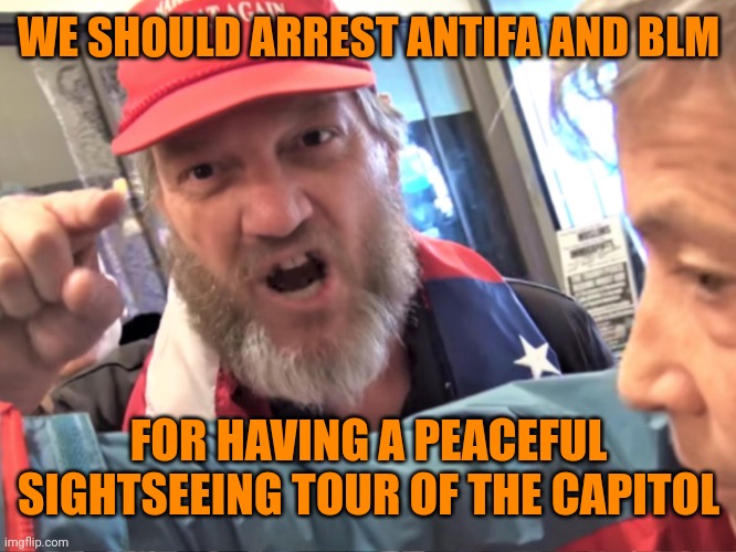 Angry Trump Supporter | WE SHOULD ARREST ANTIFA AND BLM FOR HAVING A PEACEFUL SIGHTSEEING TOUR OF THE CAPITOL | image tagged in angry trump supporter | made w/ Imgflip meme maker