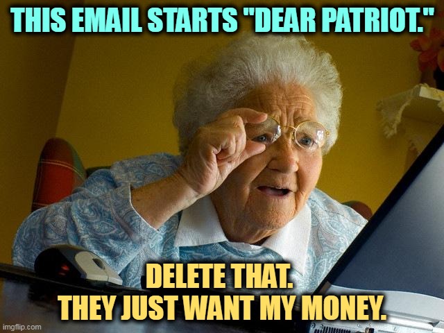 Patriot! Freedom! Liberty! Money! More Money! All Your Money! | THIS EMAIL STARTS "DEAR PATRIOT."; DELETE THAT. 
THEY JUST WANT MY MONEY. | image tagged in memes,grandma finds the internet,patriot,freedom,liberty,money | made w/ Imgflip meme maker