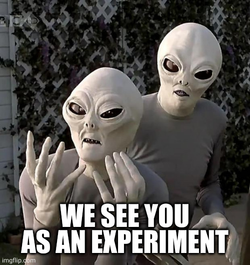 Aliens | WE SEE YOU AS AN EXPERIMENT | image tagged in aliens | made w/ Imgflip meme maker