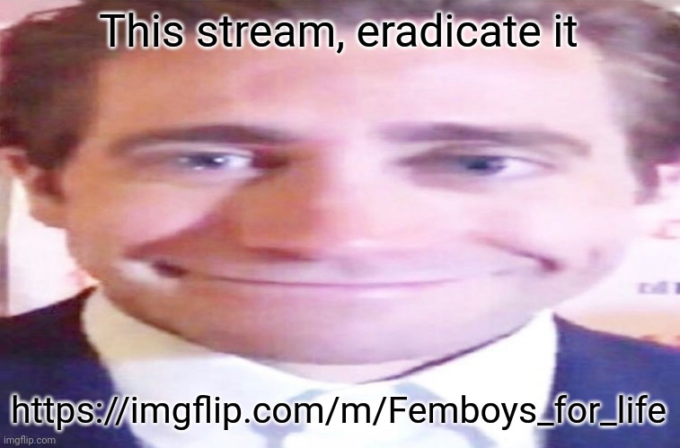 https://imgflip.com/m/Femboys_for_life | This stream, eradicate it; https://imgflip.com/m/Femboys_for_life | image tagged in wide jake gyllenhaal | made w/ Imgflip meme maker