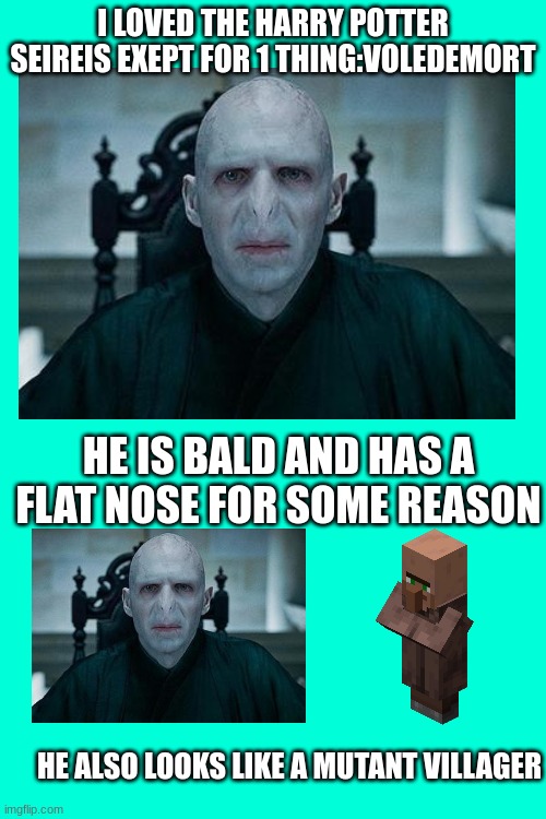 MOULDY | I LOVED THE HARRY POTTER SEIREIS EXEPT FOR 1 THING:VOLEDEMORT; HE IS BALD AND HAS A FLAT NOSE FOR SOME REASON; HE ALSO LOOKS LIKE A MUTANT VILLAGER | image tagged in memes | made w/ Imgflip meme maker