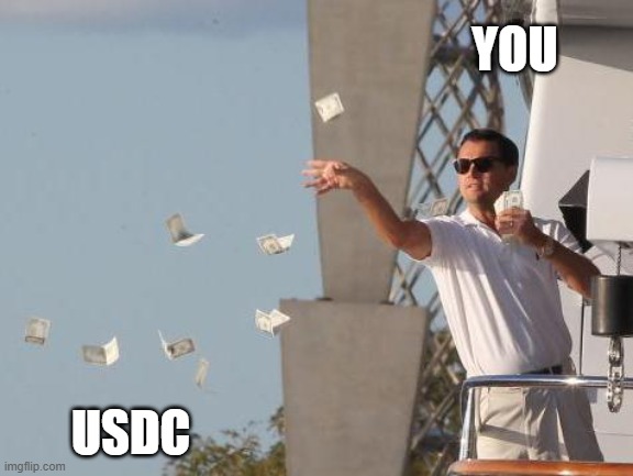A close look at USDC | YOU; USDC | image tagged in usdc,crypto,funny memes | made w/ Imgflip meme maker