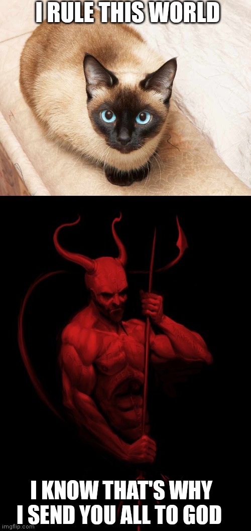 I RULE THIS WORLD; I KNOW THAT'S WHY I SEND YOU ALL TO GOD | image tagged in me or ______ siamese cat,the devil | made w/ Imgflip meme maker