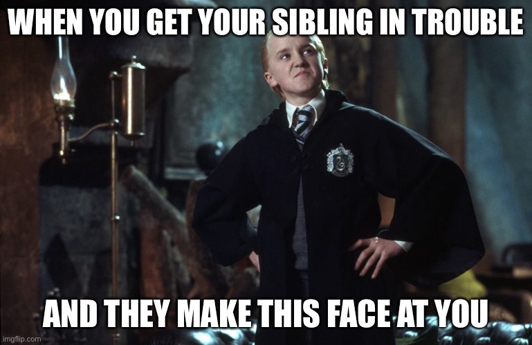 Harry Potter Draco | WHEN YOU GET YOUR SIBLING IN TROUBLE; AND THEY MAKE THIS FACE AT YOU | image tagged in harry potter draco | made w/ Imgflip meme maker