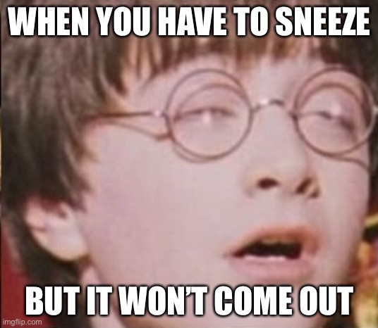 Harry Potter Feels It | WHEN YOU HAVE TO SNEEZE; BUT IT WON’T COME OUT | image tagged in harry potter feels it | made w/ Imgflip meme maker